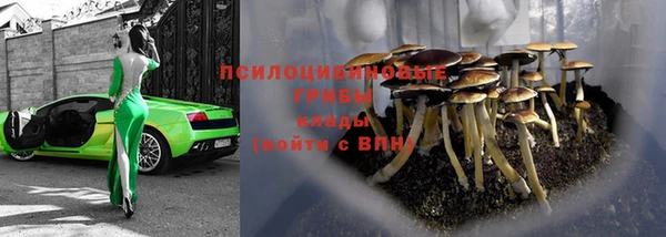 гашишное масло Абинск