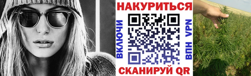 shop наркотические препараты  Каргополь  Шишки марихуана сатива  наркотики  blacksprut зеркало 
